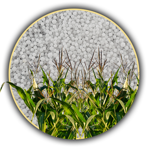 Fertilizer